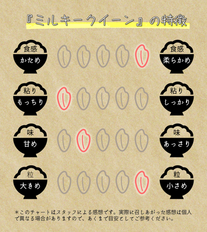 令和7年産 ミルキークィーン 5kg  白米