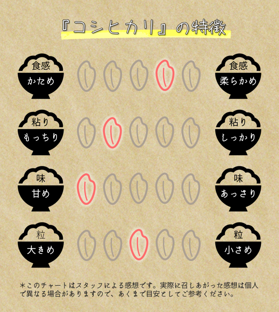 令和7年産 コシヒカリ 5kg 白米