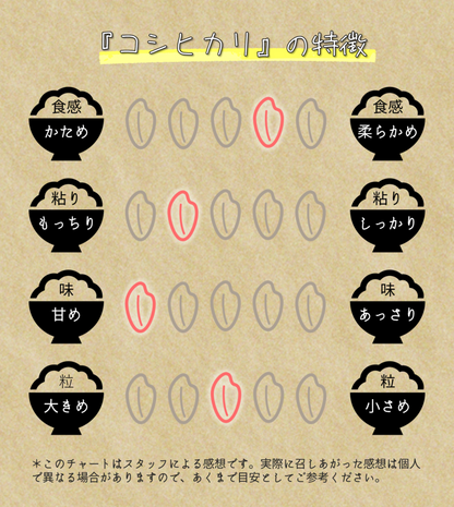 令和7年産 コシヒカリ 5kg 白米