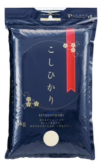 令和7年産 コシヒカリ 5kg 白米